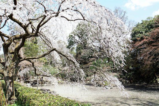 Kyoto Imperial Palace